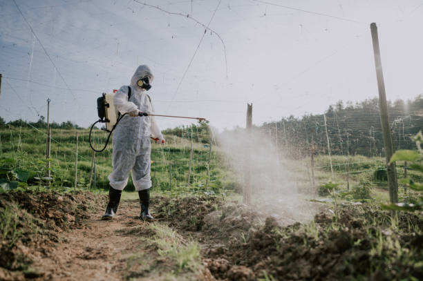 Best Best Pest Control Companies  in Pendergrass, GA