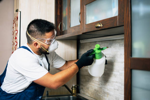 Best Local Pest Control Services  in Pendergrass, GA