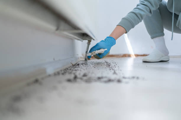 Best Pest Control for Restaurants  in Pendergrass, GA