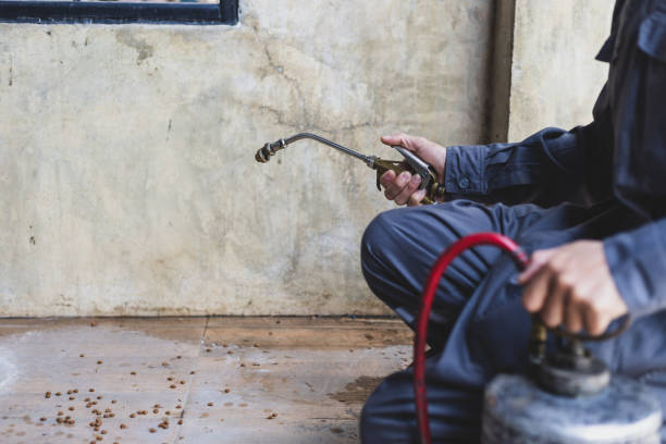 Best Affordable Pest Control Services  in Pendergrass, GA
